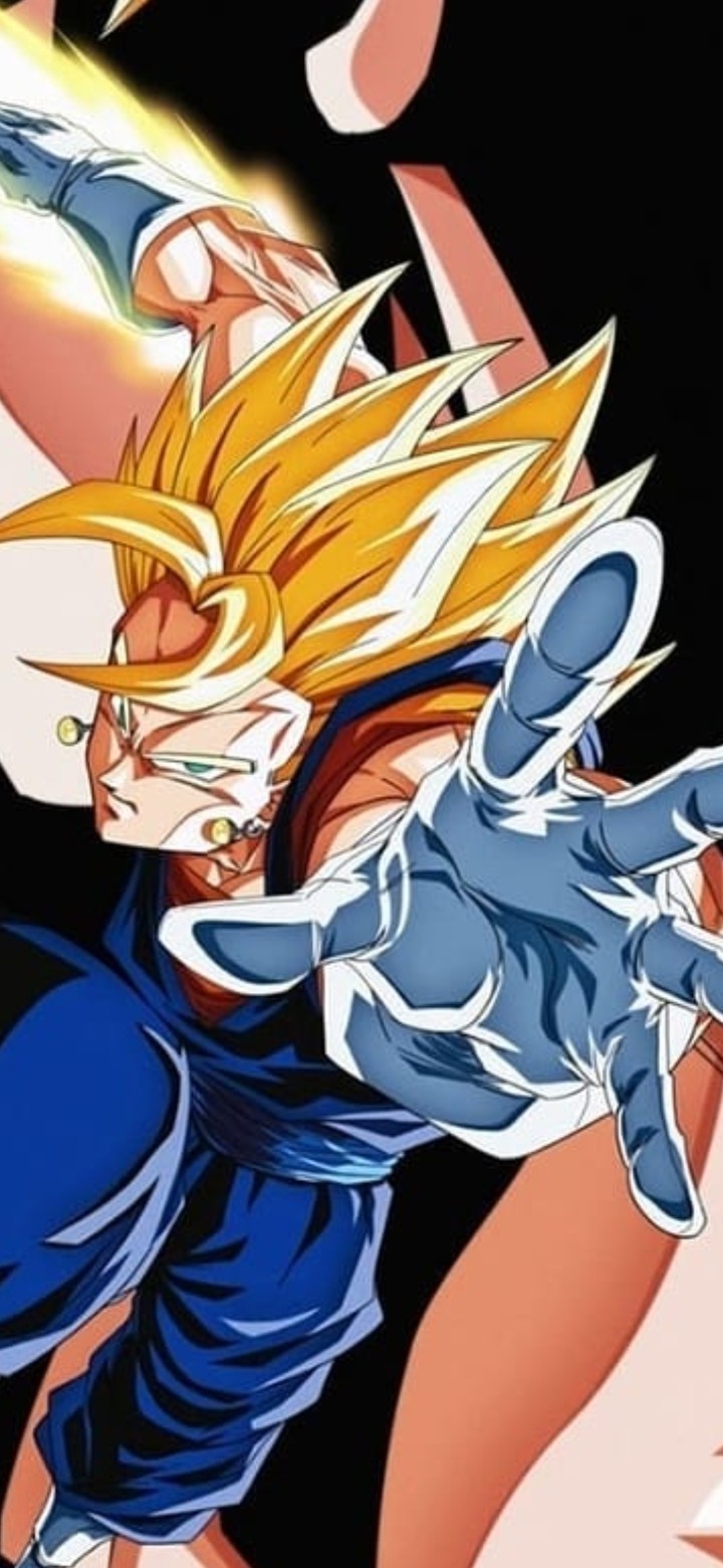 Potara Fusion Vegeto