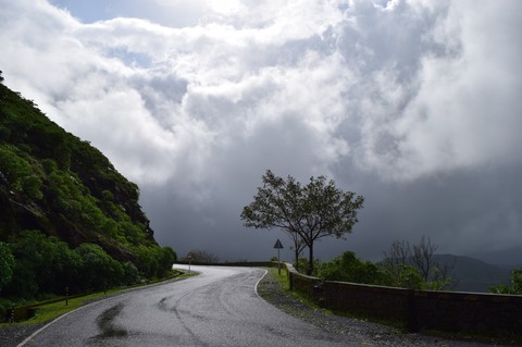 Indian Monsoon