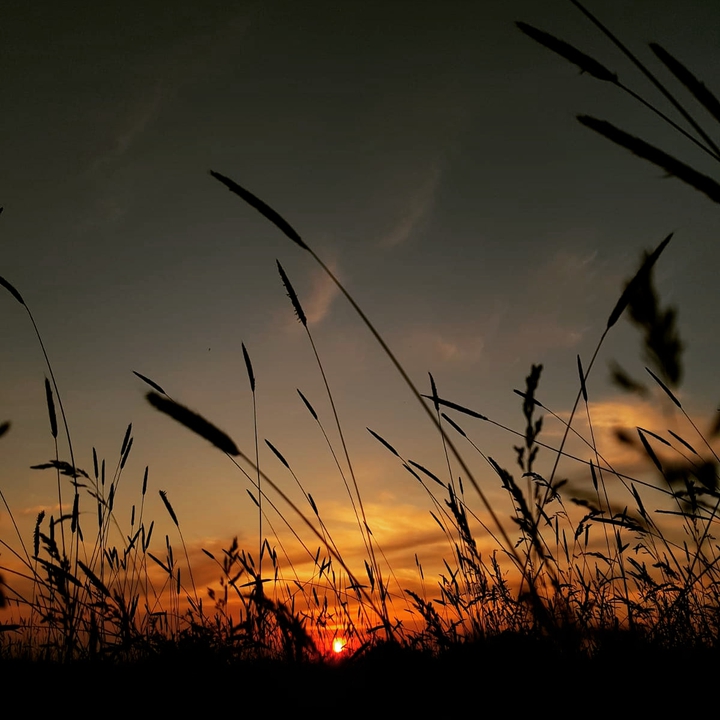 Twilight