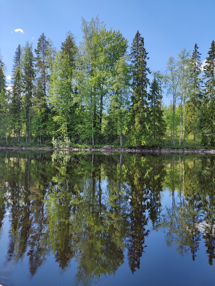 reflection