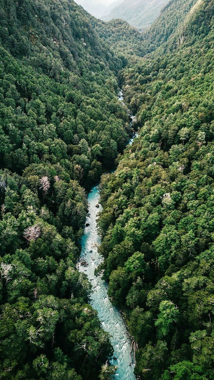 Greenery and Adevnture