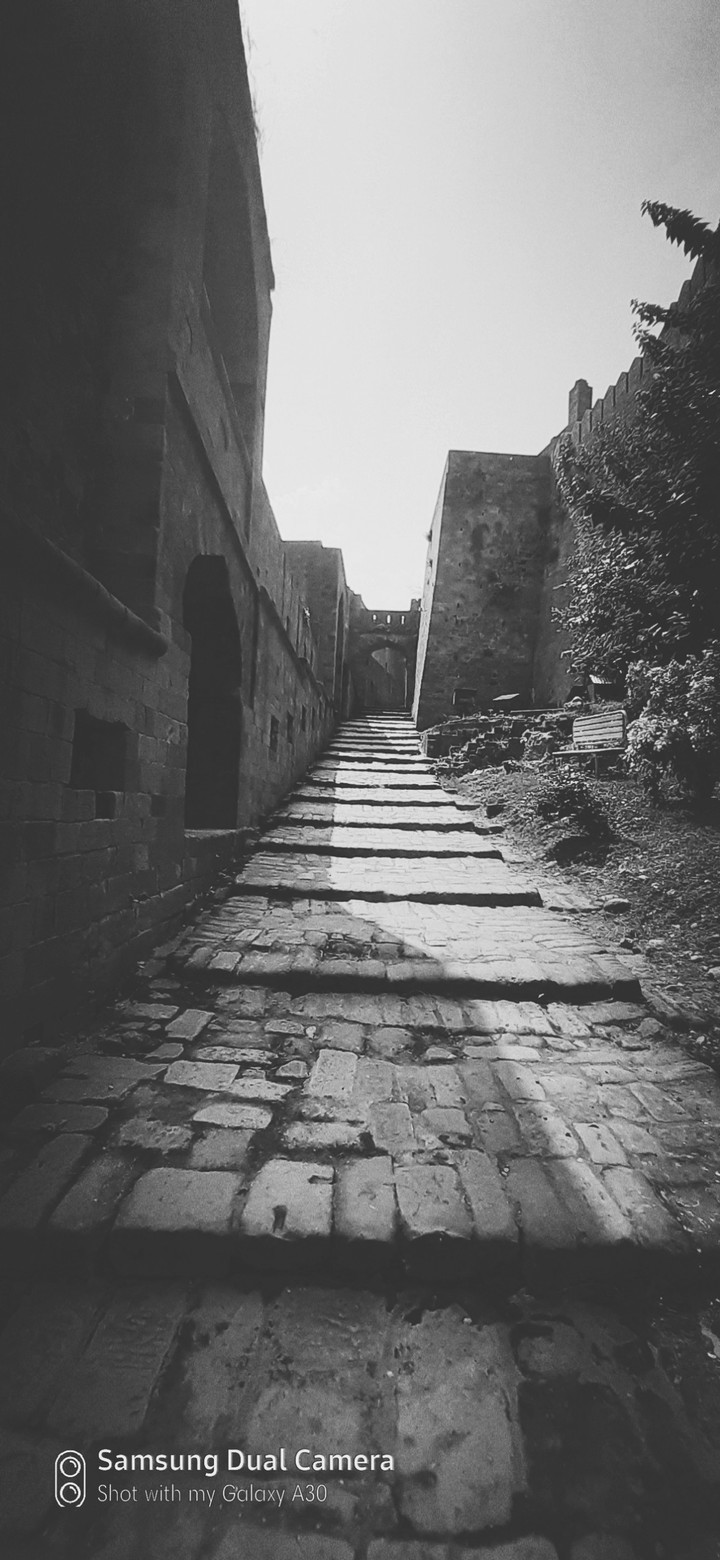 STEPS LEADING TOWARDS TO A SAFER PLACE