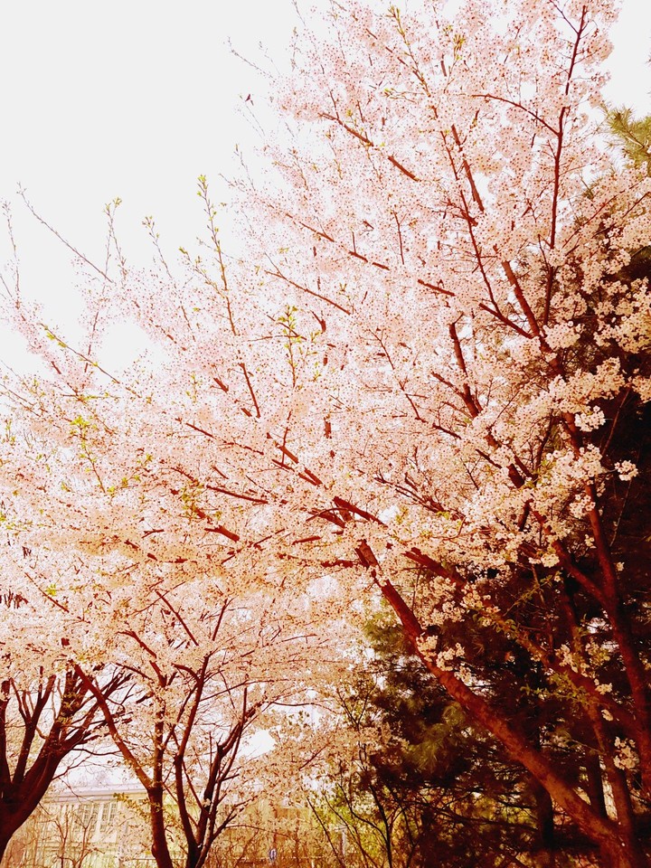 Spring.