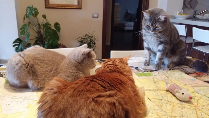 dove andiamo oggi ragazzi?