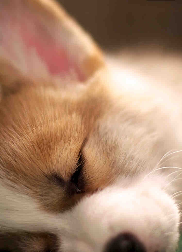 ㅅㅂ