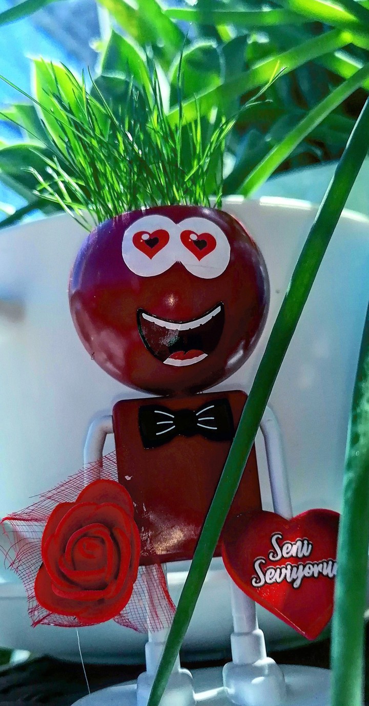 çim adam