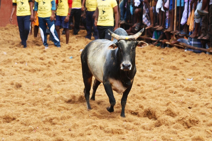 kv.jeyaseelan