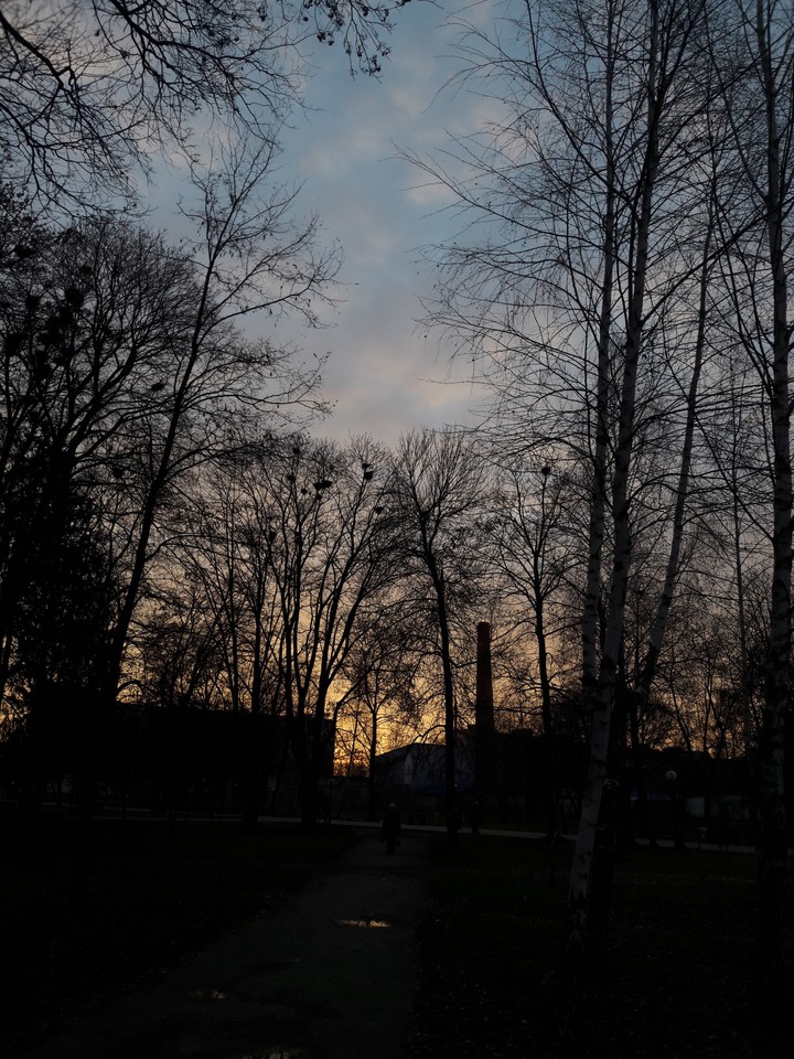nature's