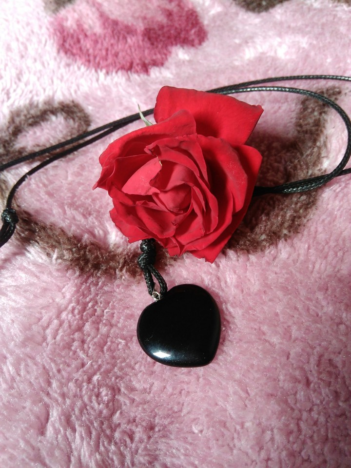 rosa