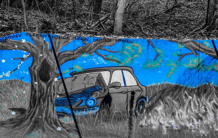 blue picture