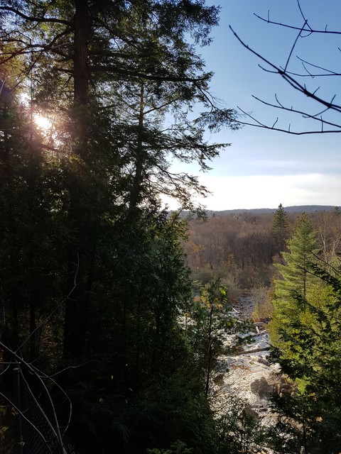 Nature's Beauty