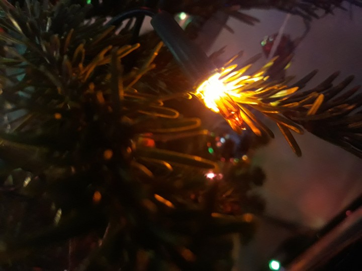 light tree