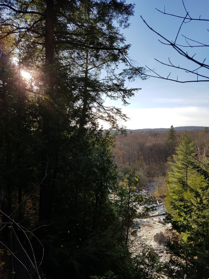 Nature's Beauty