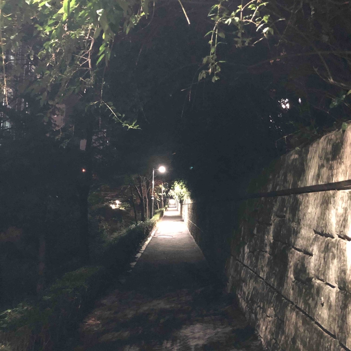 길