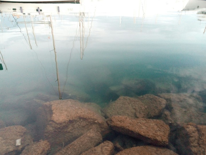 The Blue Sea