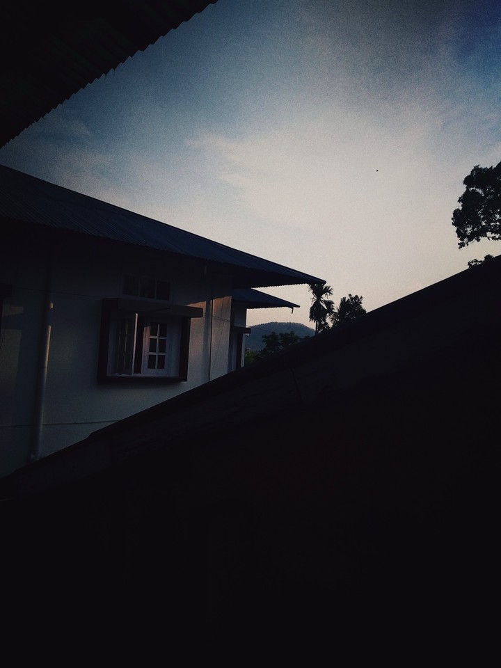 Roofs