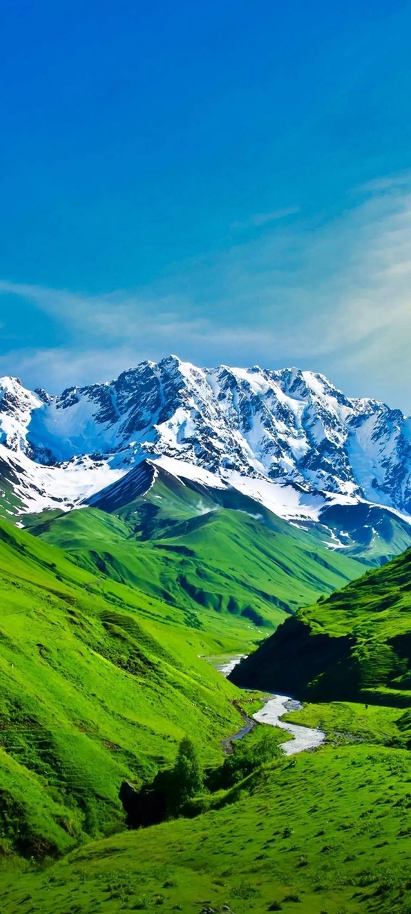 petal, terrain duvar kağıtları