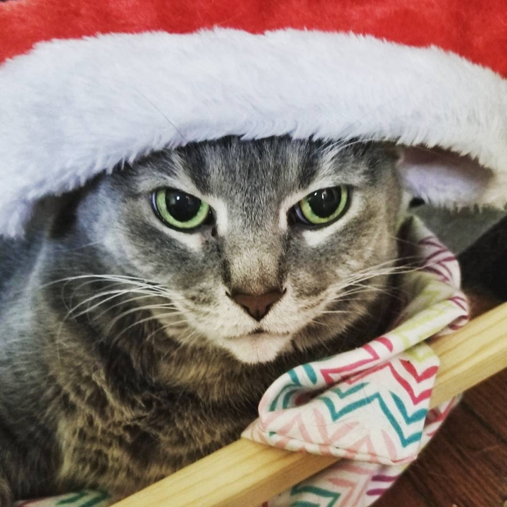 Happy Holidays