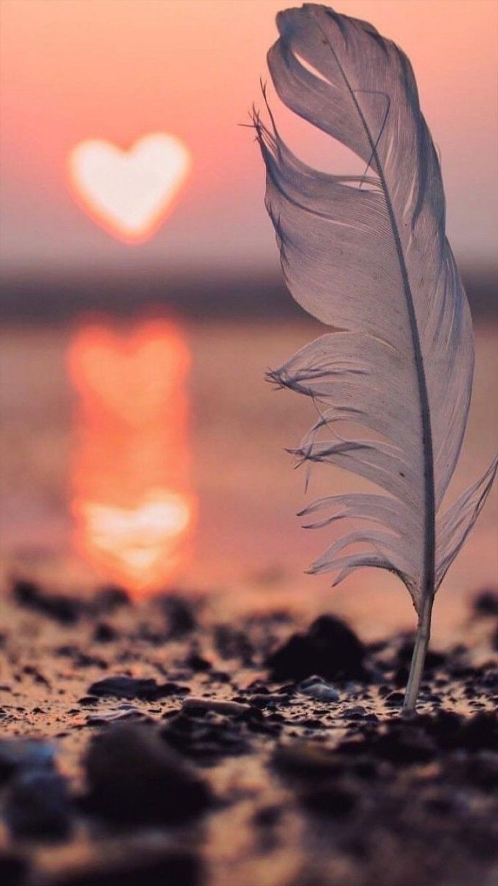 Le coucher de soleil sur la plage