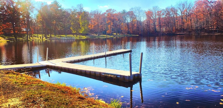 Autumnal Docks