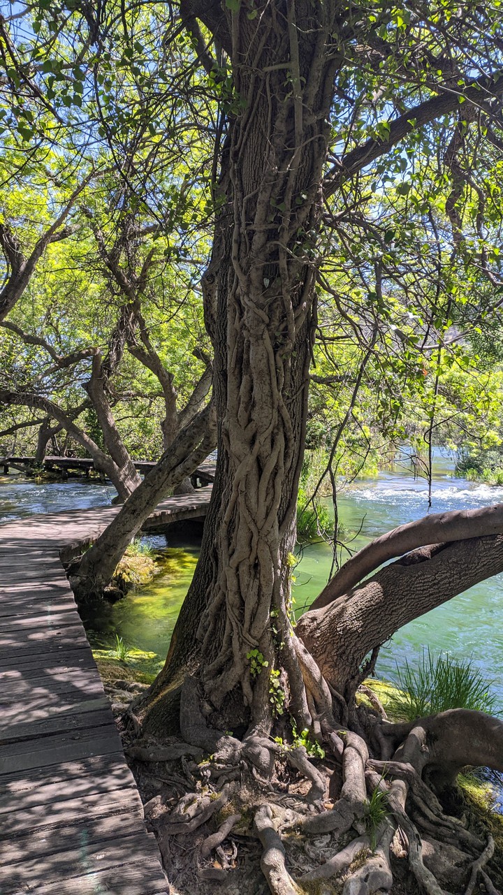 Nature life