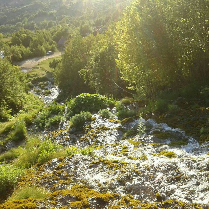 Nature