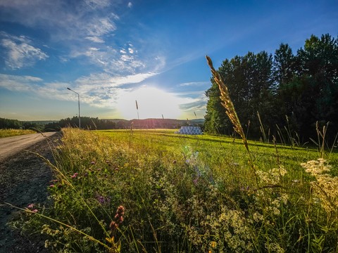 nature, green Hintergrundbilder