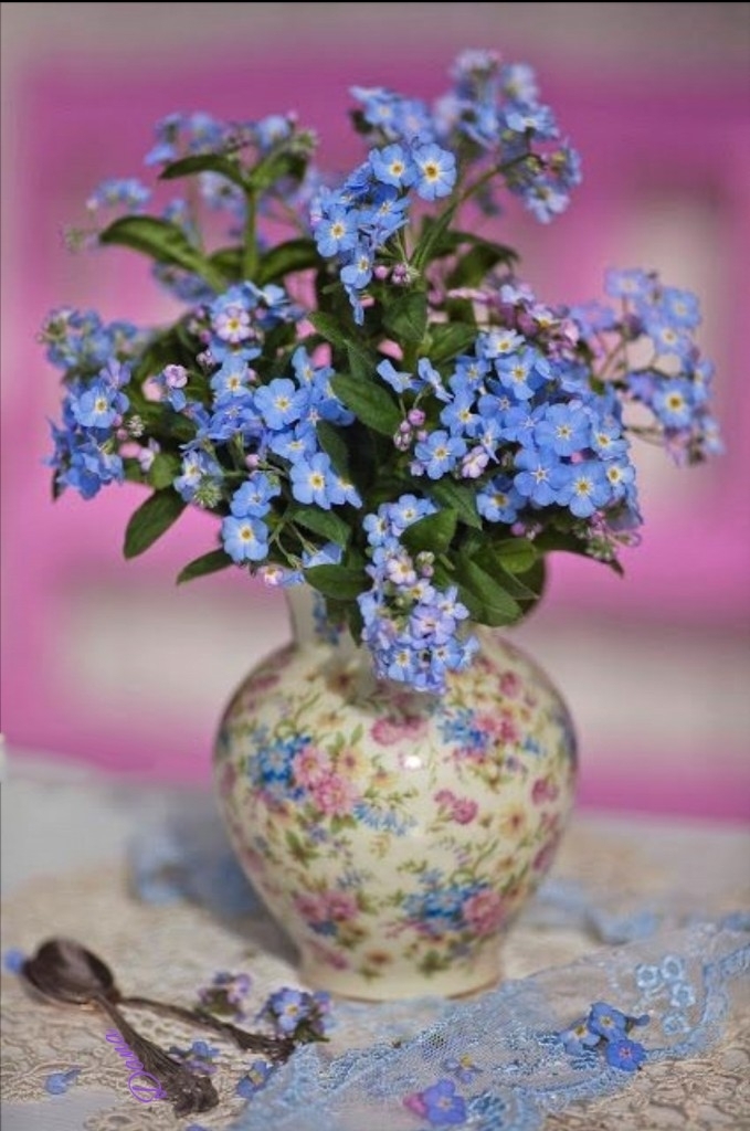 flowers