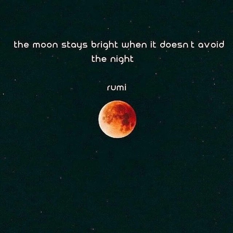 rumi