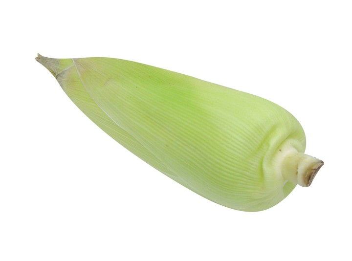 음식이미지