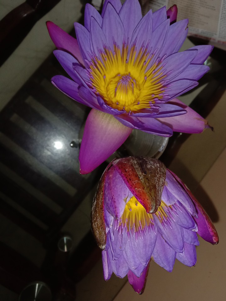 ##