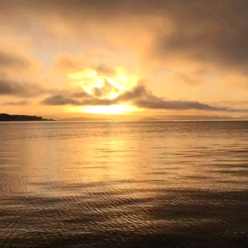 A beautiful morning