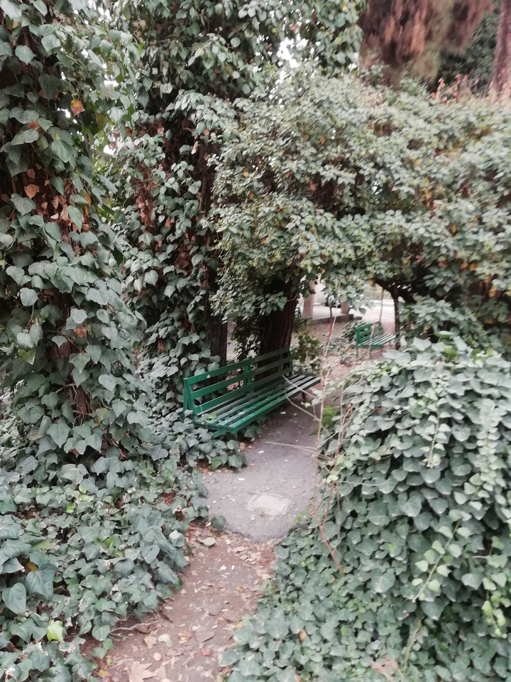 iran