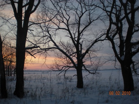 vyselki