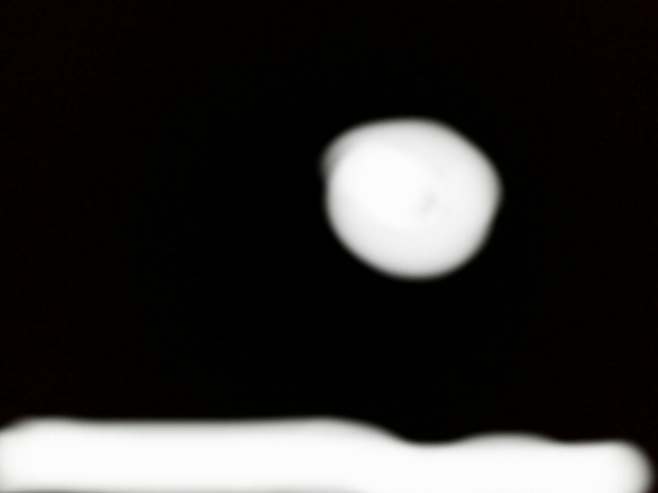 What do you see???