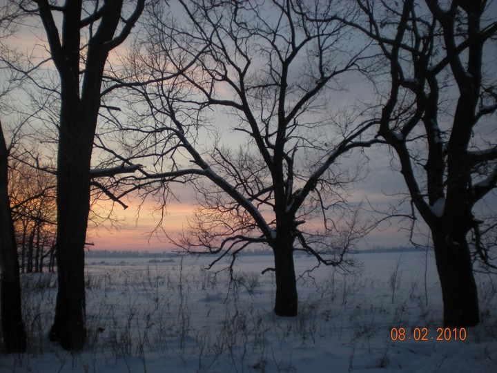 vyselki