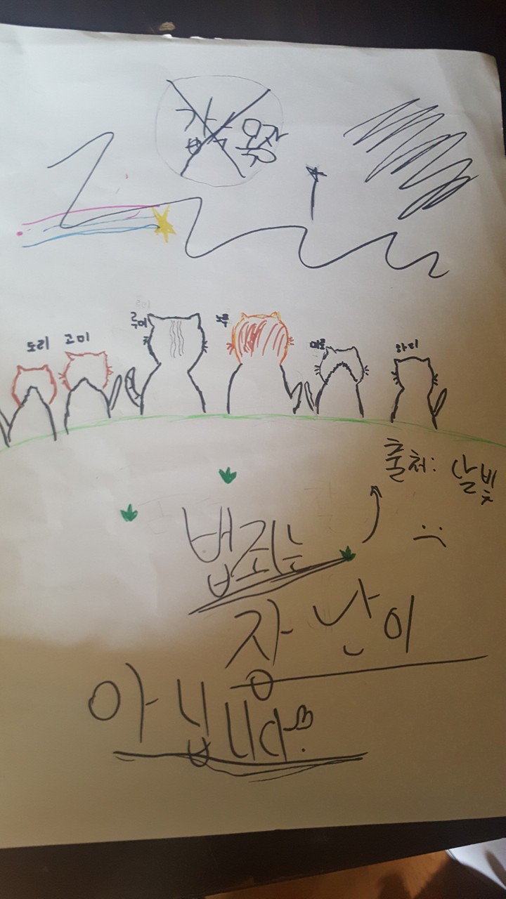 갑수목장
