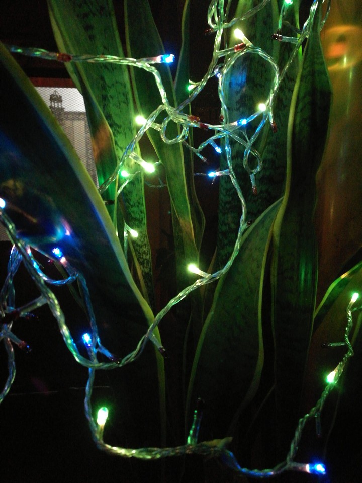 Cristmas Lights
