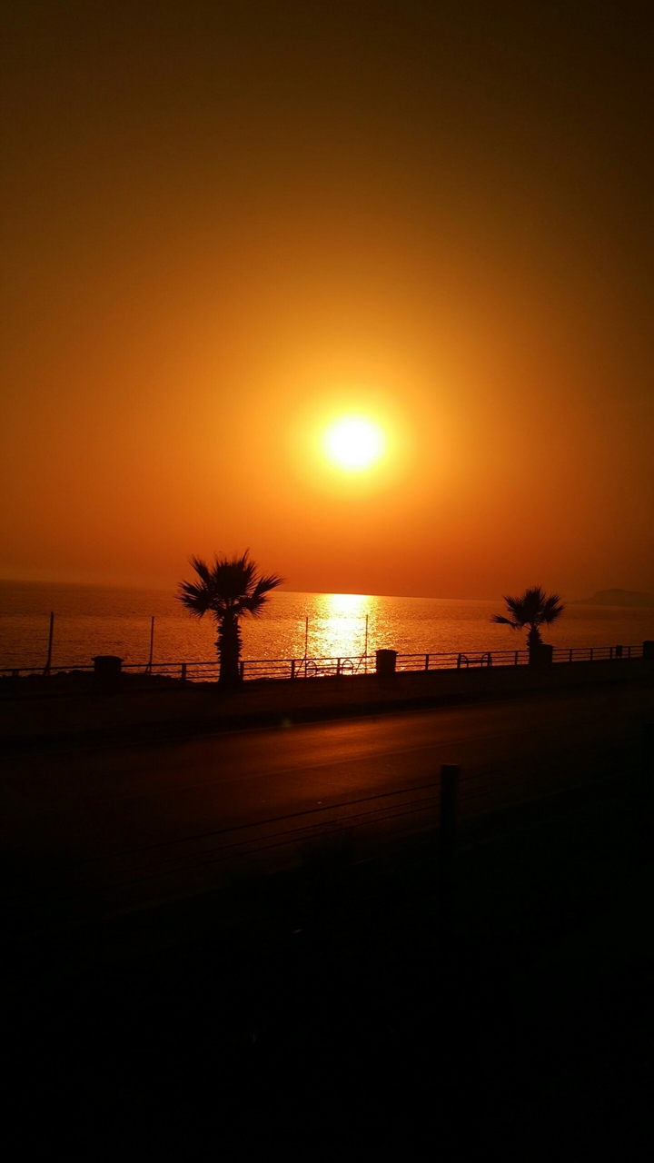 alanya