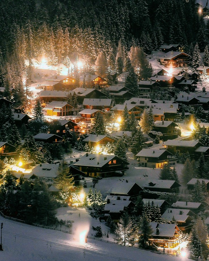 forest village