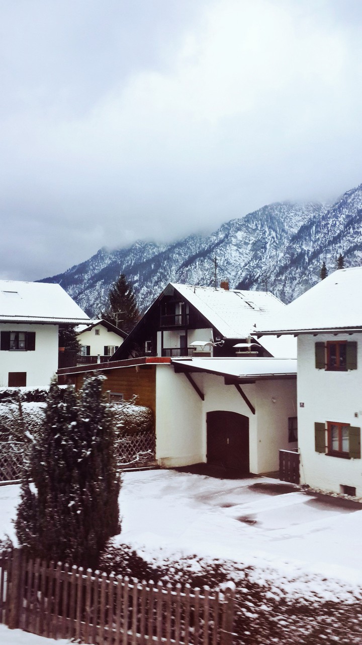 Amazing winter❄