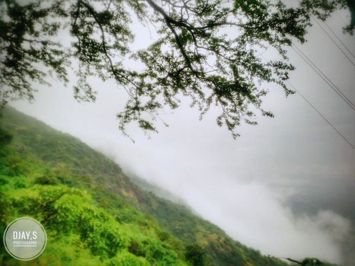 fog