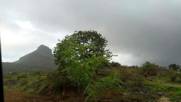 nature beauty