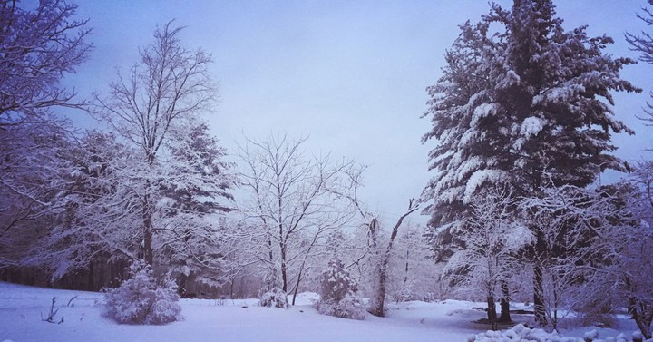 Winter
