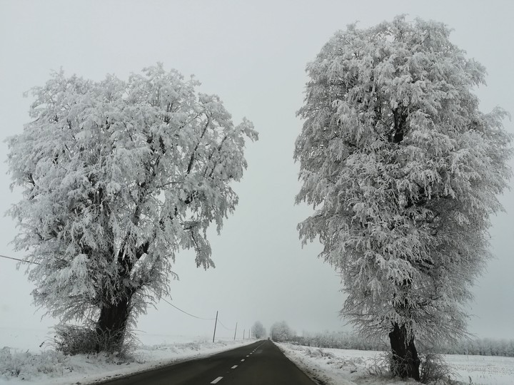 #winter