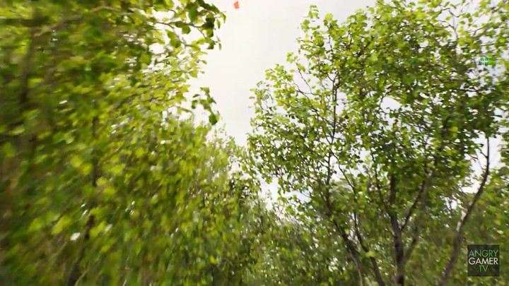 Trees