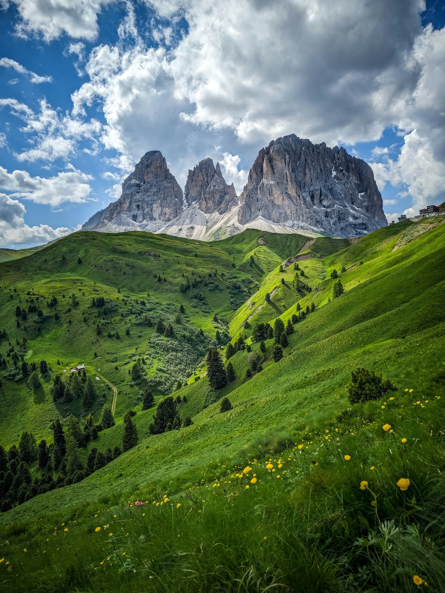 шпалери nature, ecoregion
