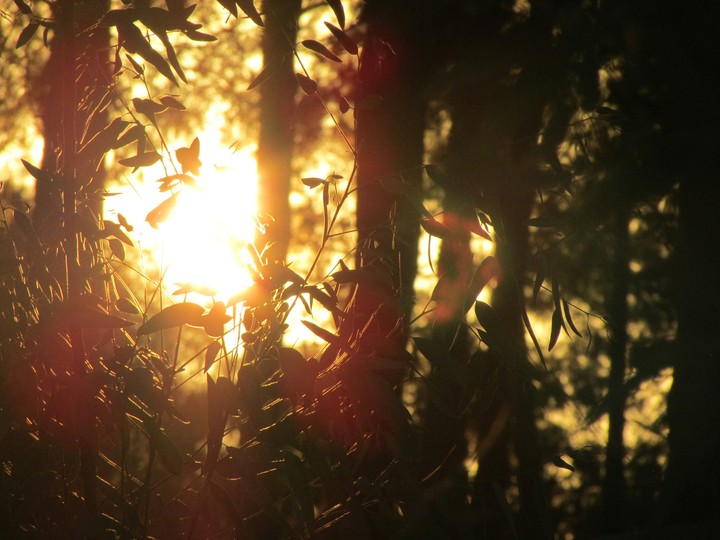 mryuo.sun