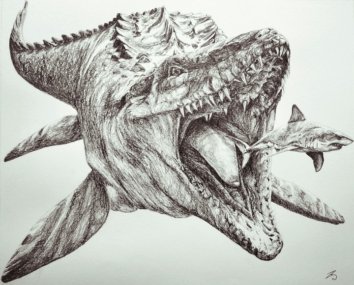 Dibujo Mosasaurio