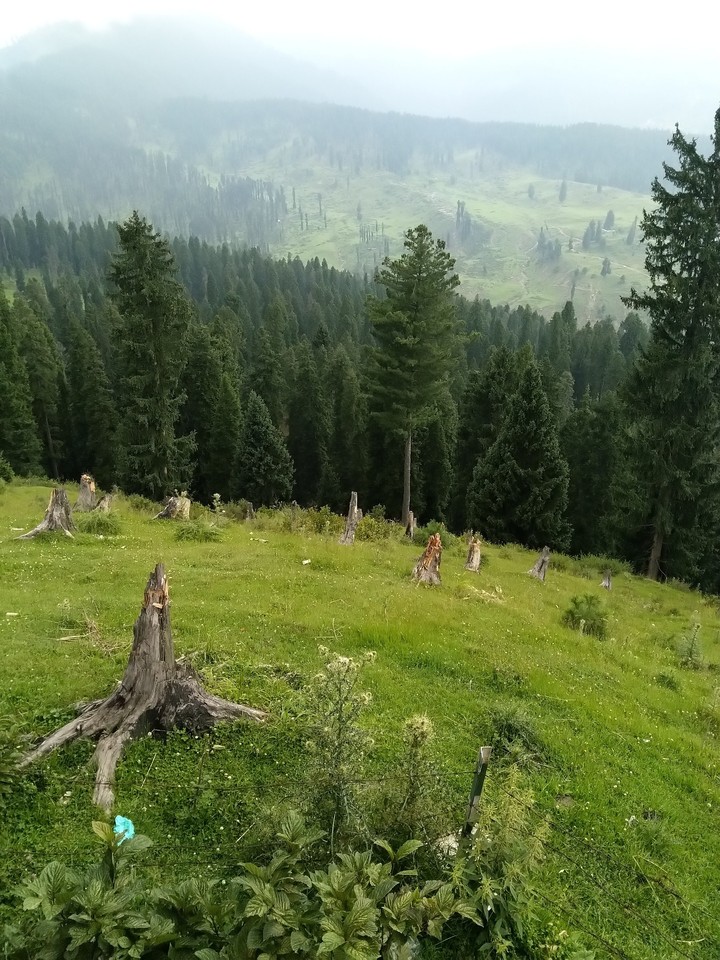 Doodh-Pathri Kashmir
